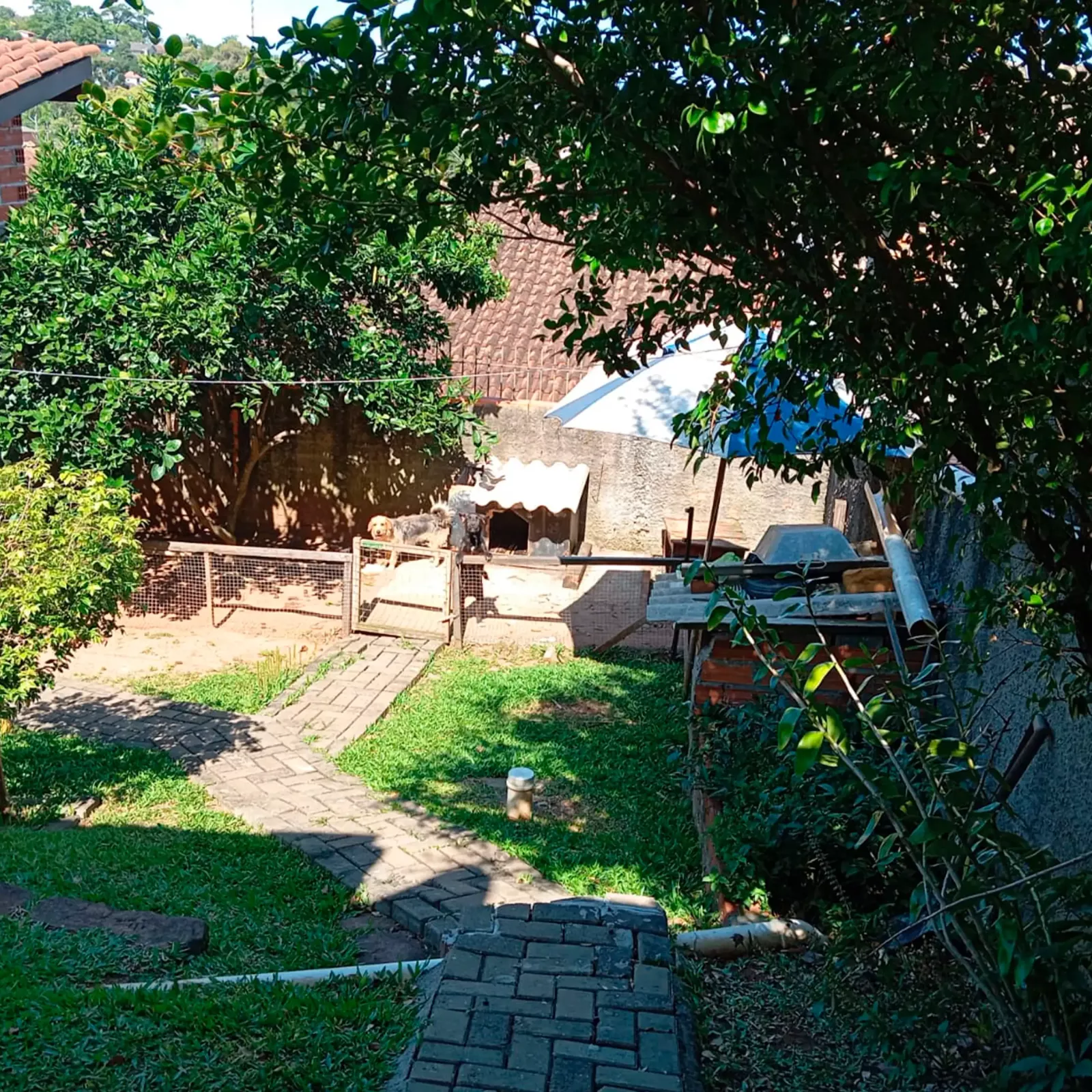 Fundos da casa com gramado e área de lazer