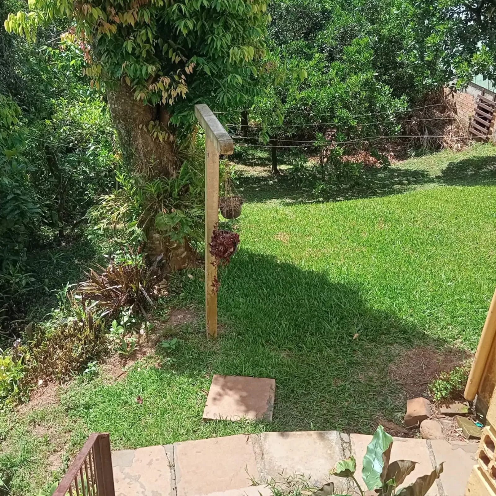 Fundos 