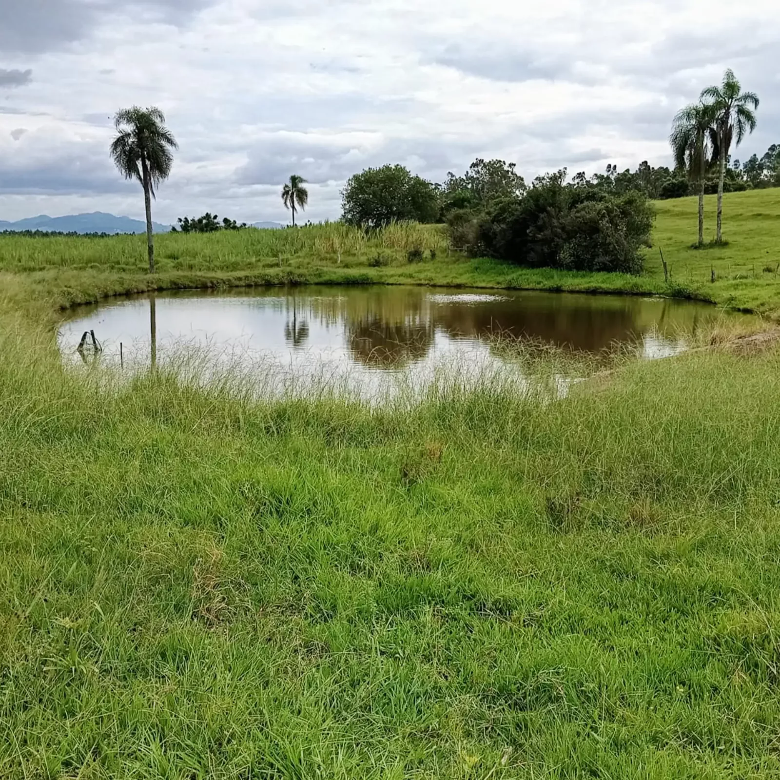 açude 