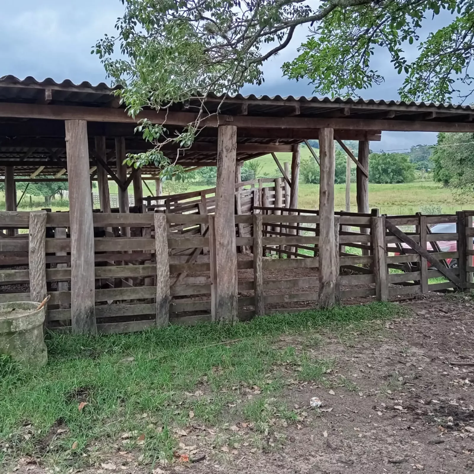 galinheiro