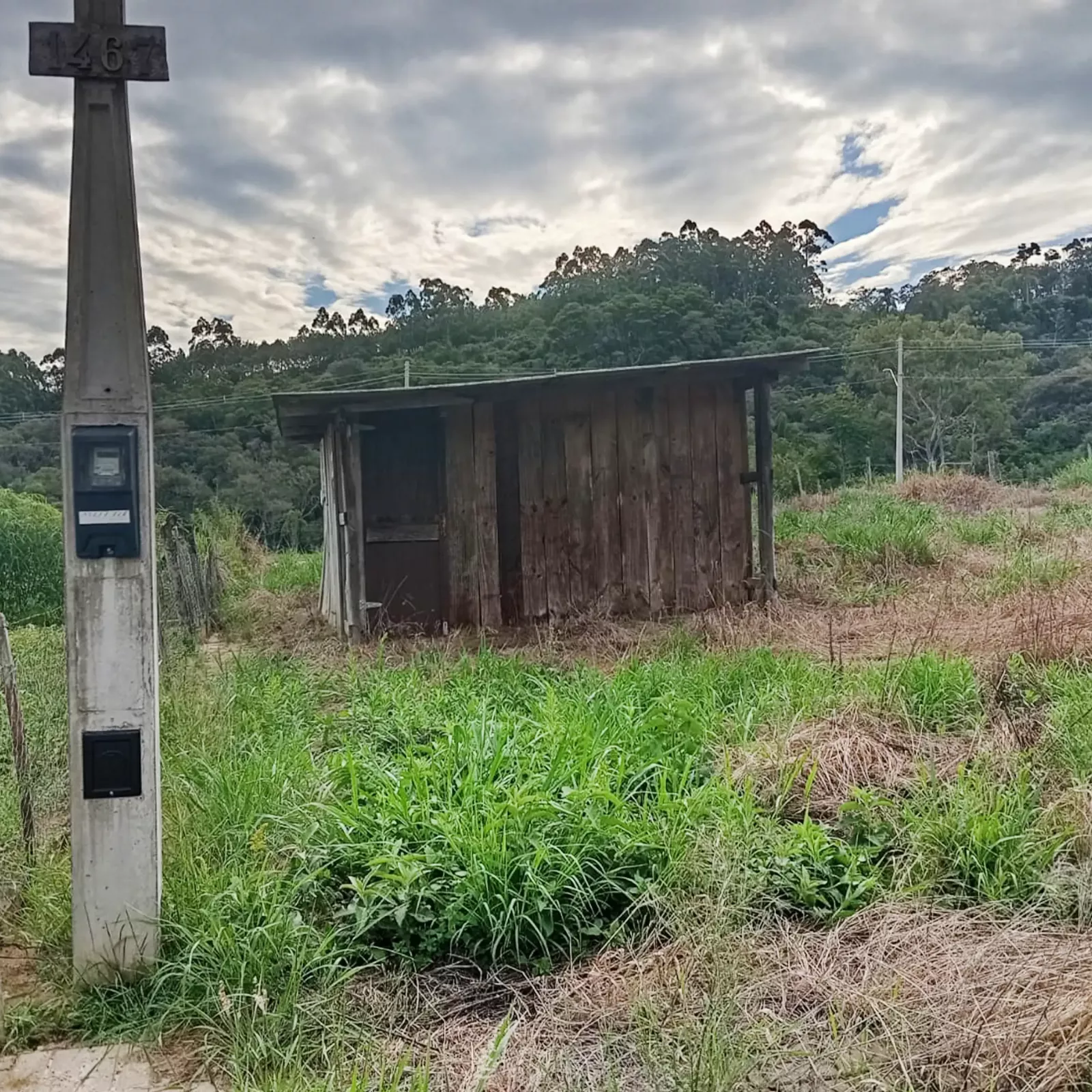 terreno