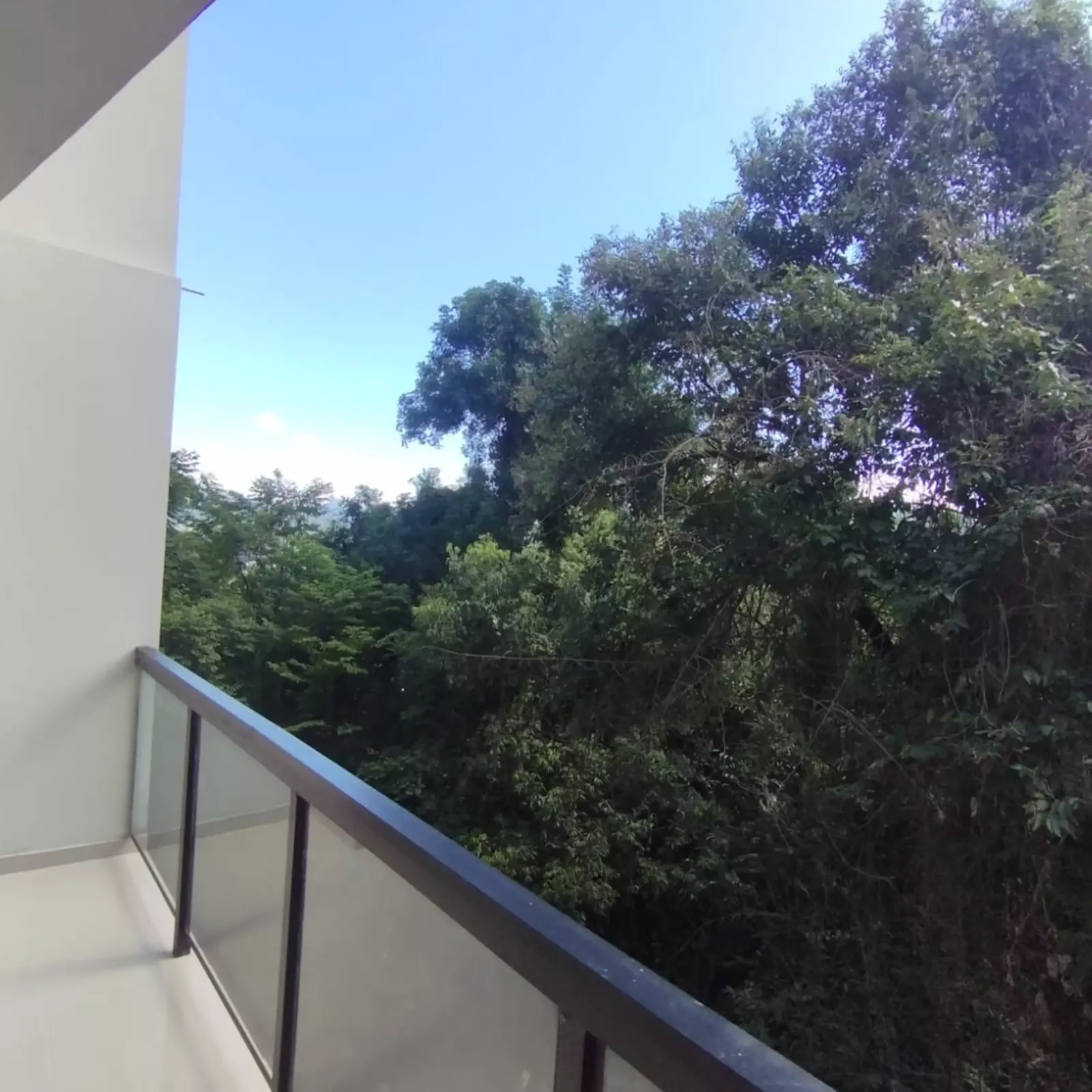 vista para mata
