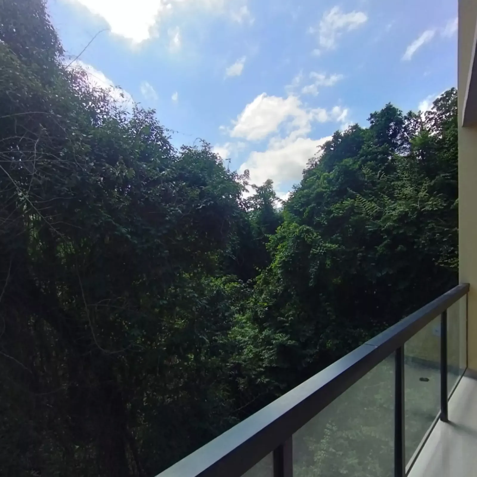 sacada com vista