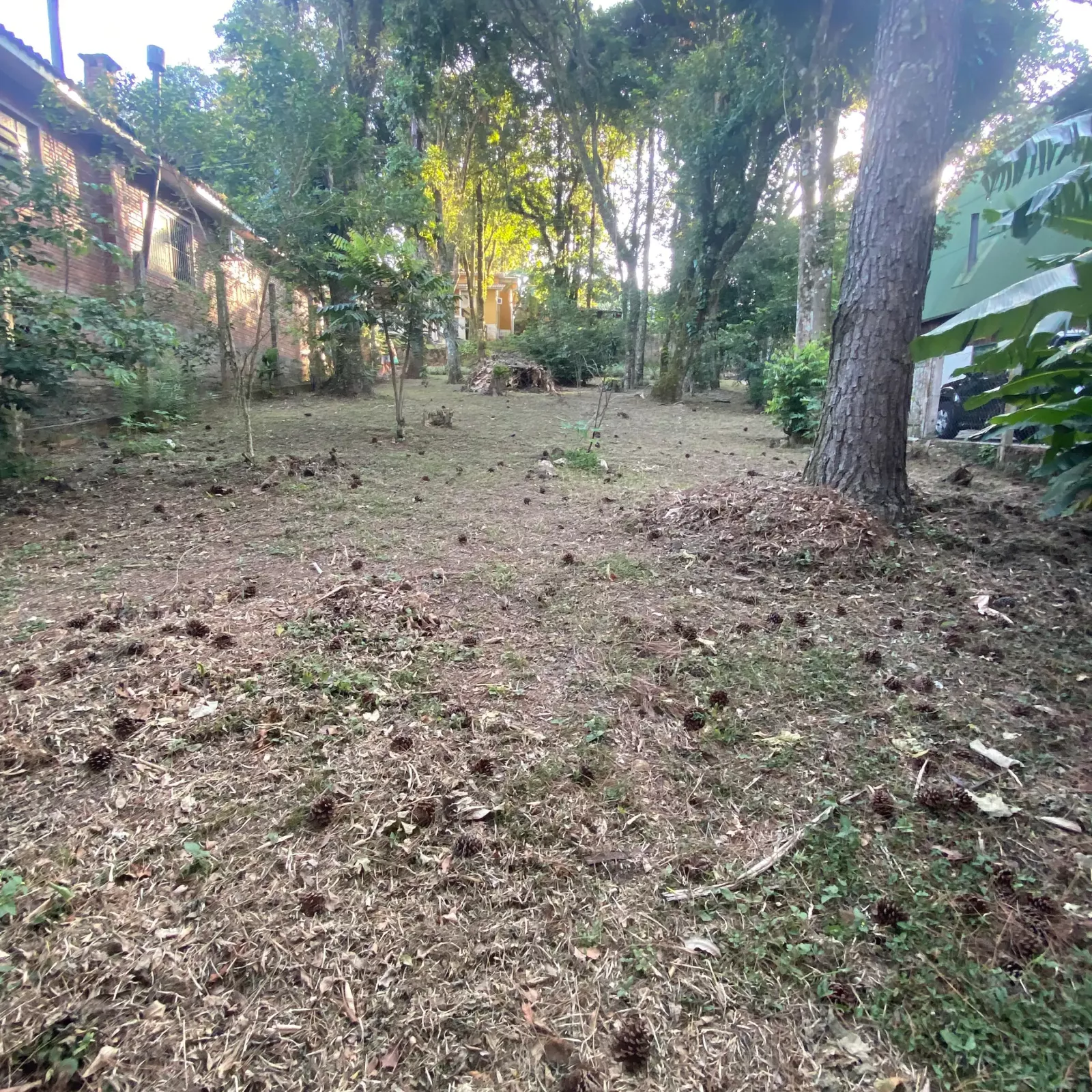 terreno amplo