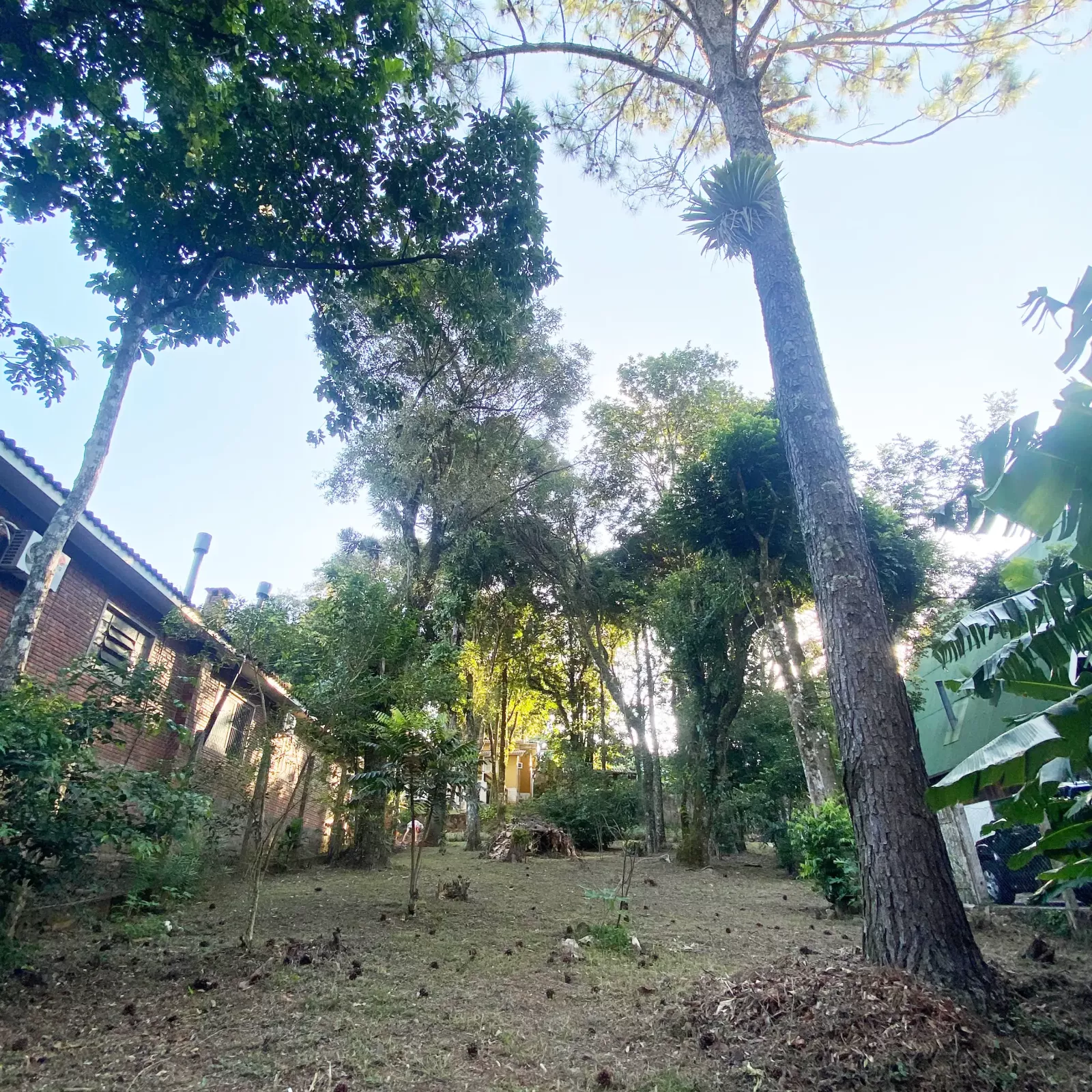 terreno nivelado