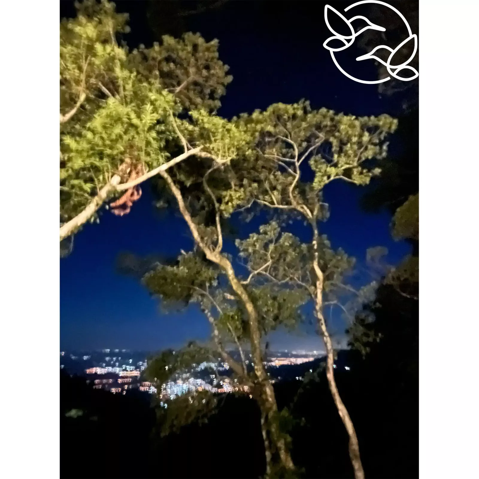 Vista da cabana