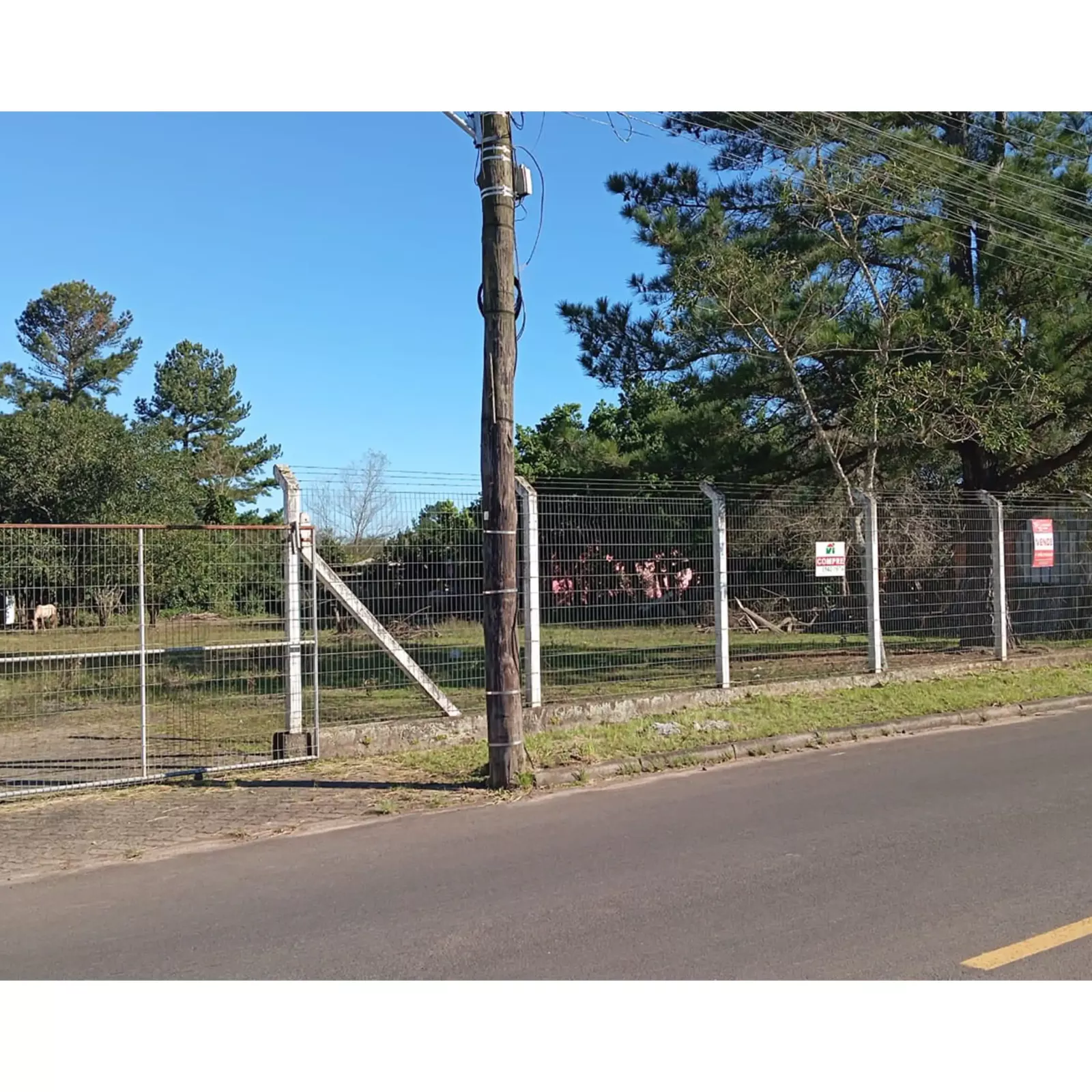 Terreno 