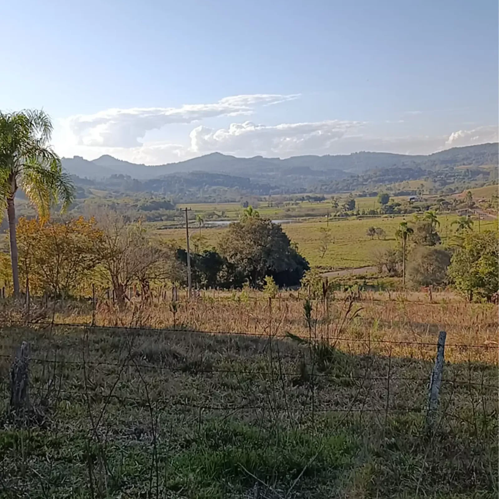 Paisagem do sítio