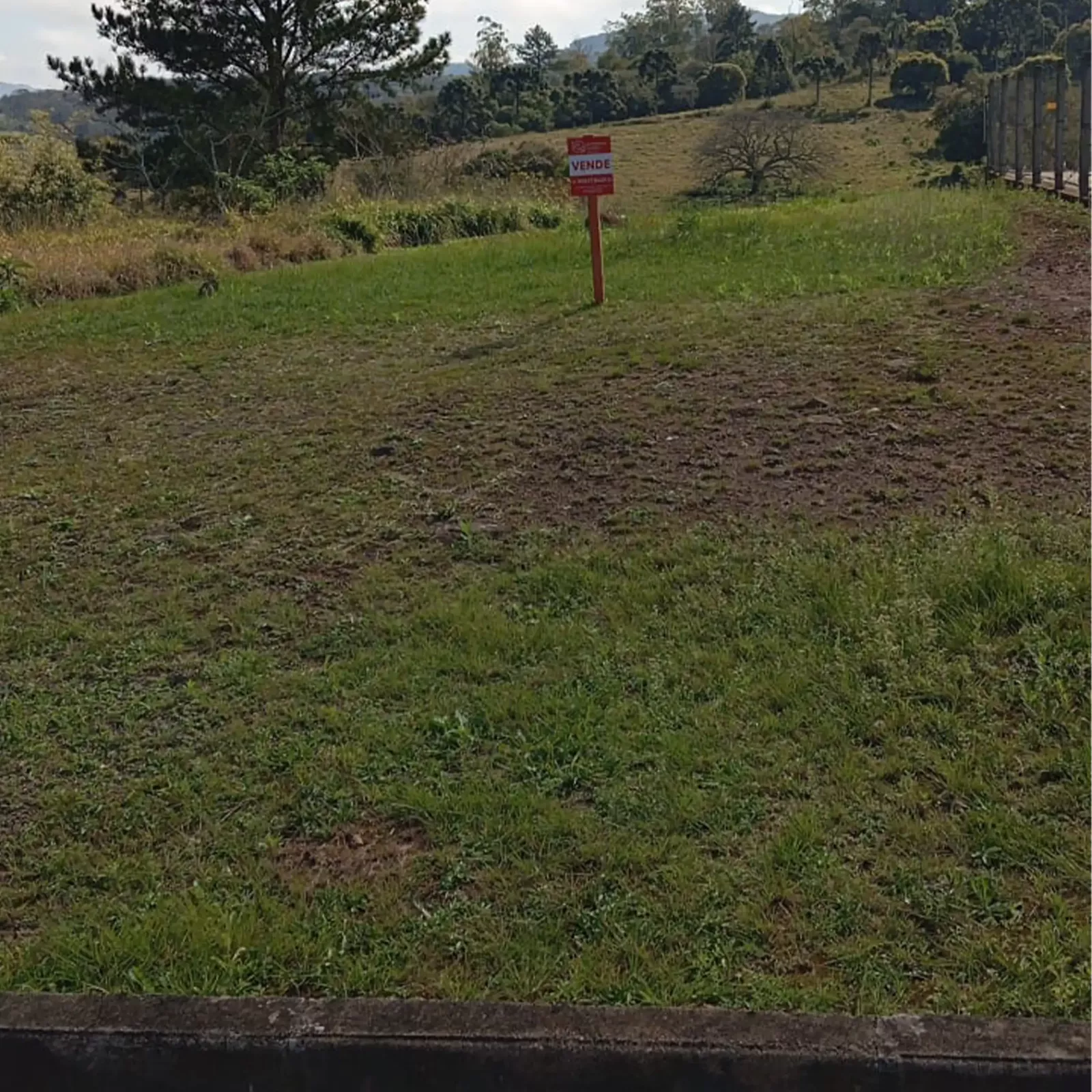 terreno