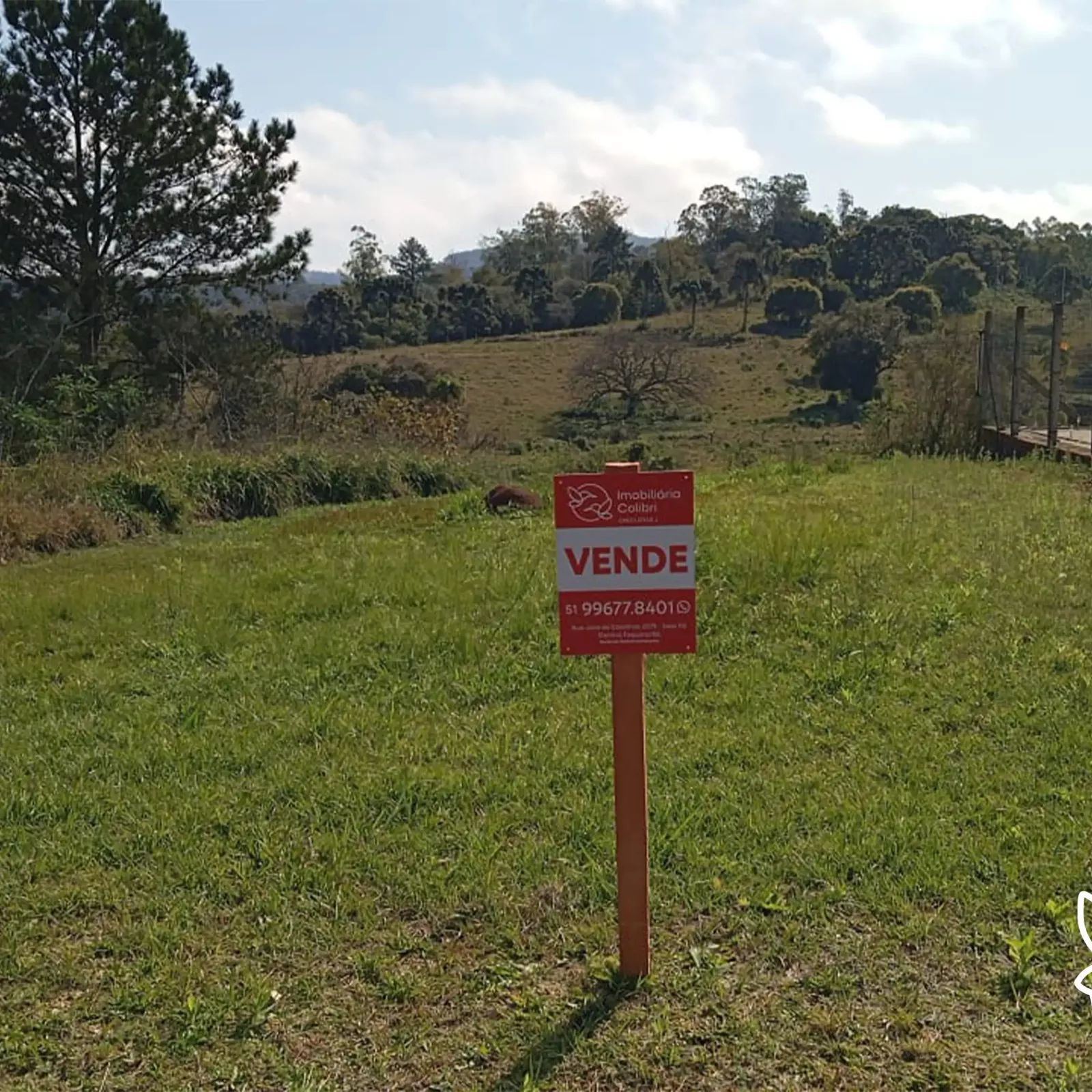 terreno