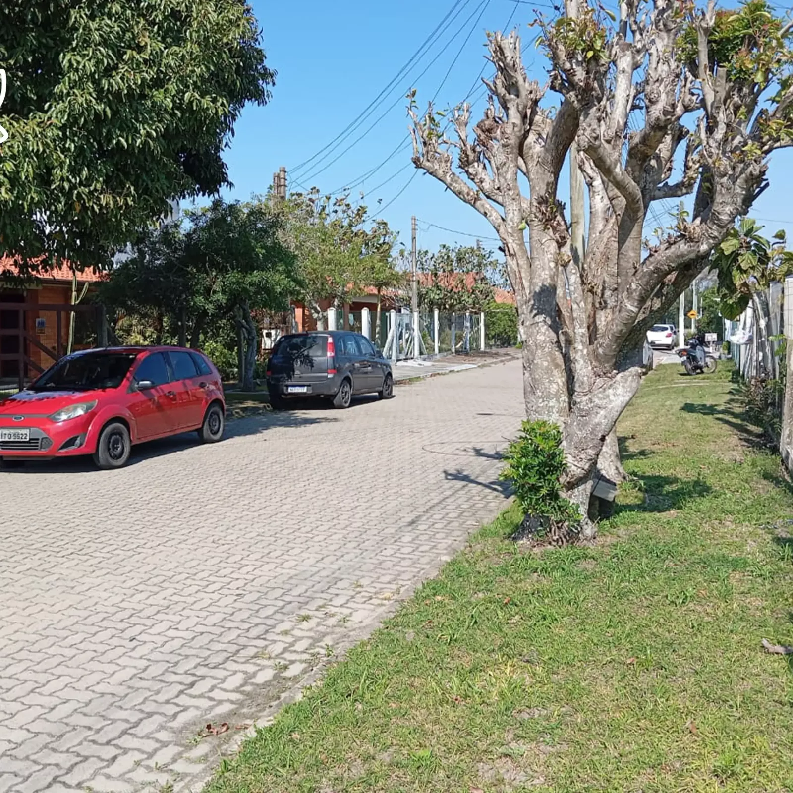 Rua 