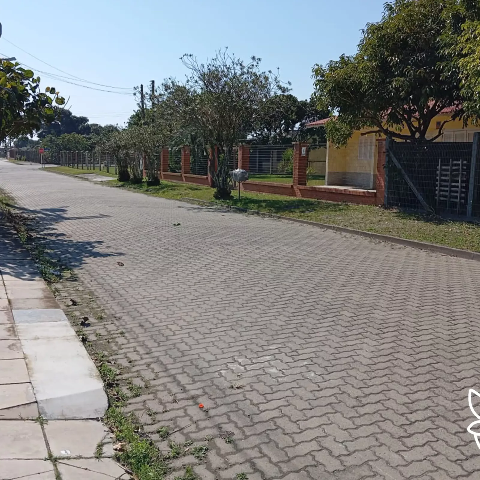Rua