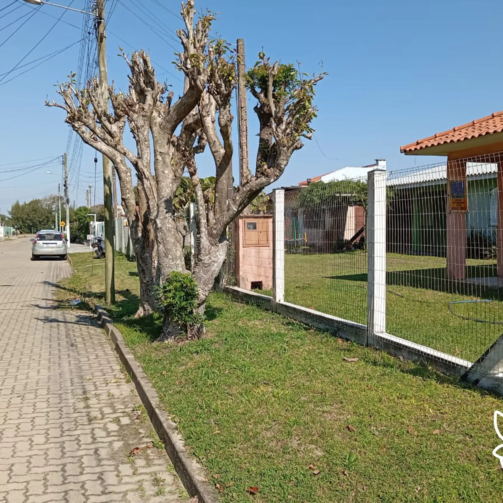 Frente 