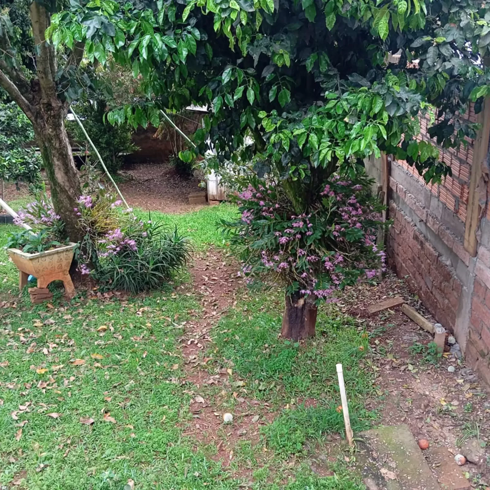fundos