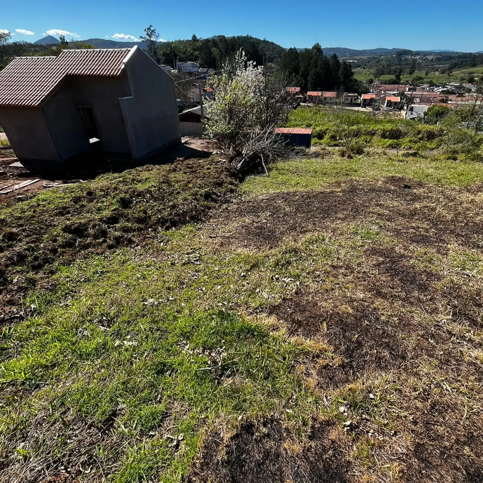 Terreno 