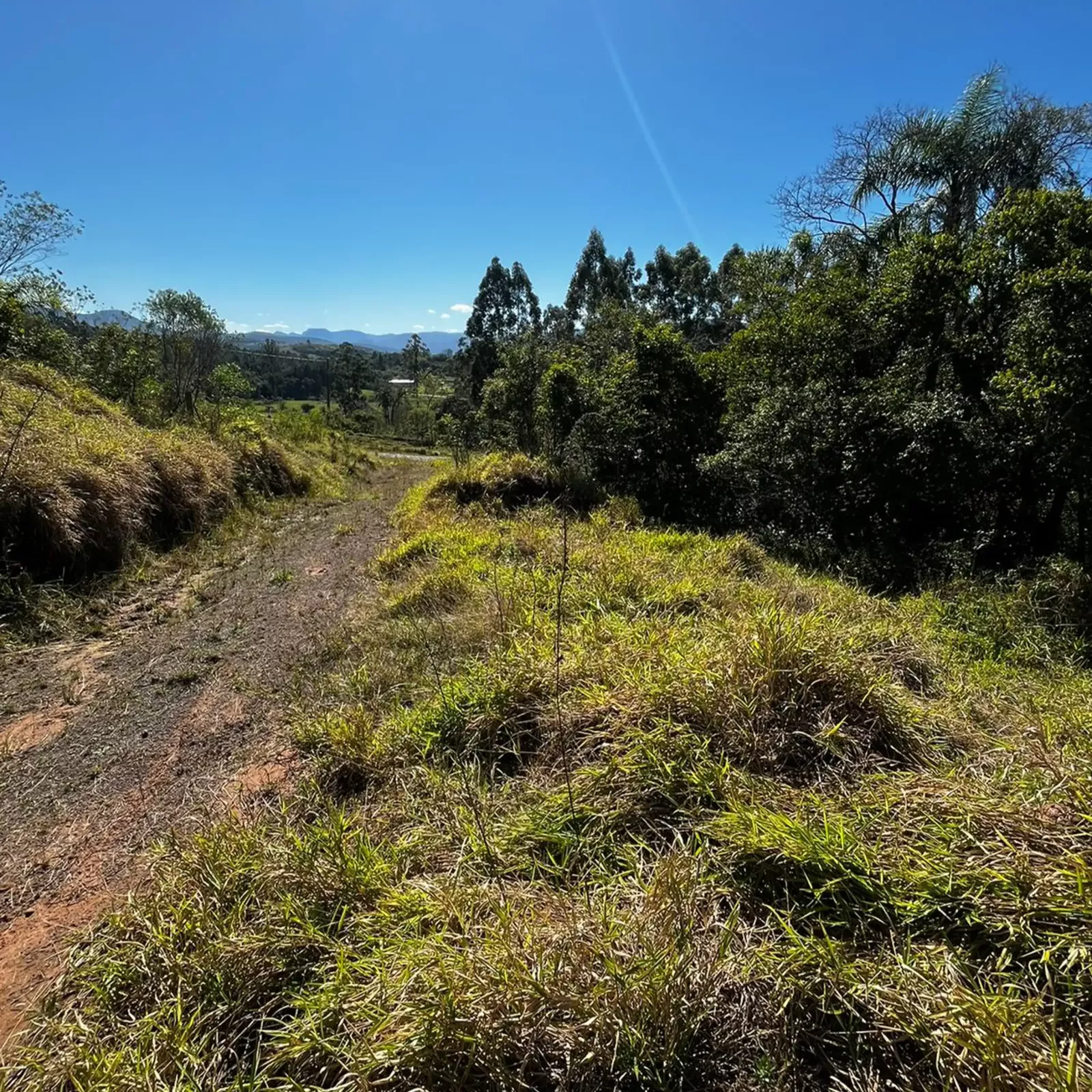 Terreno 