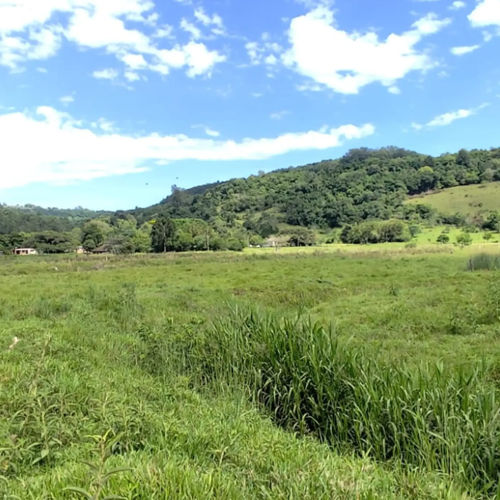 Área de terra 