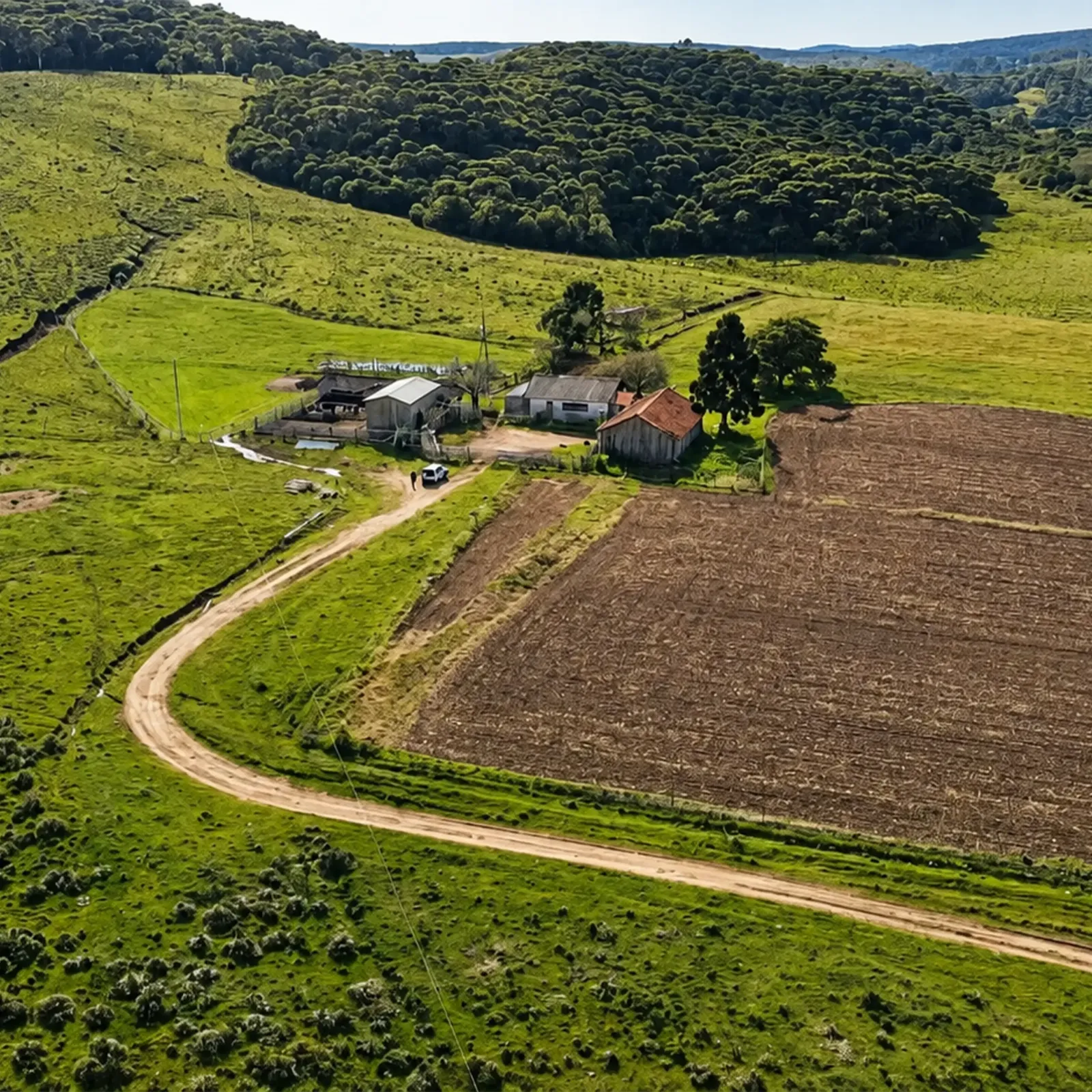 Casa e galpão