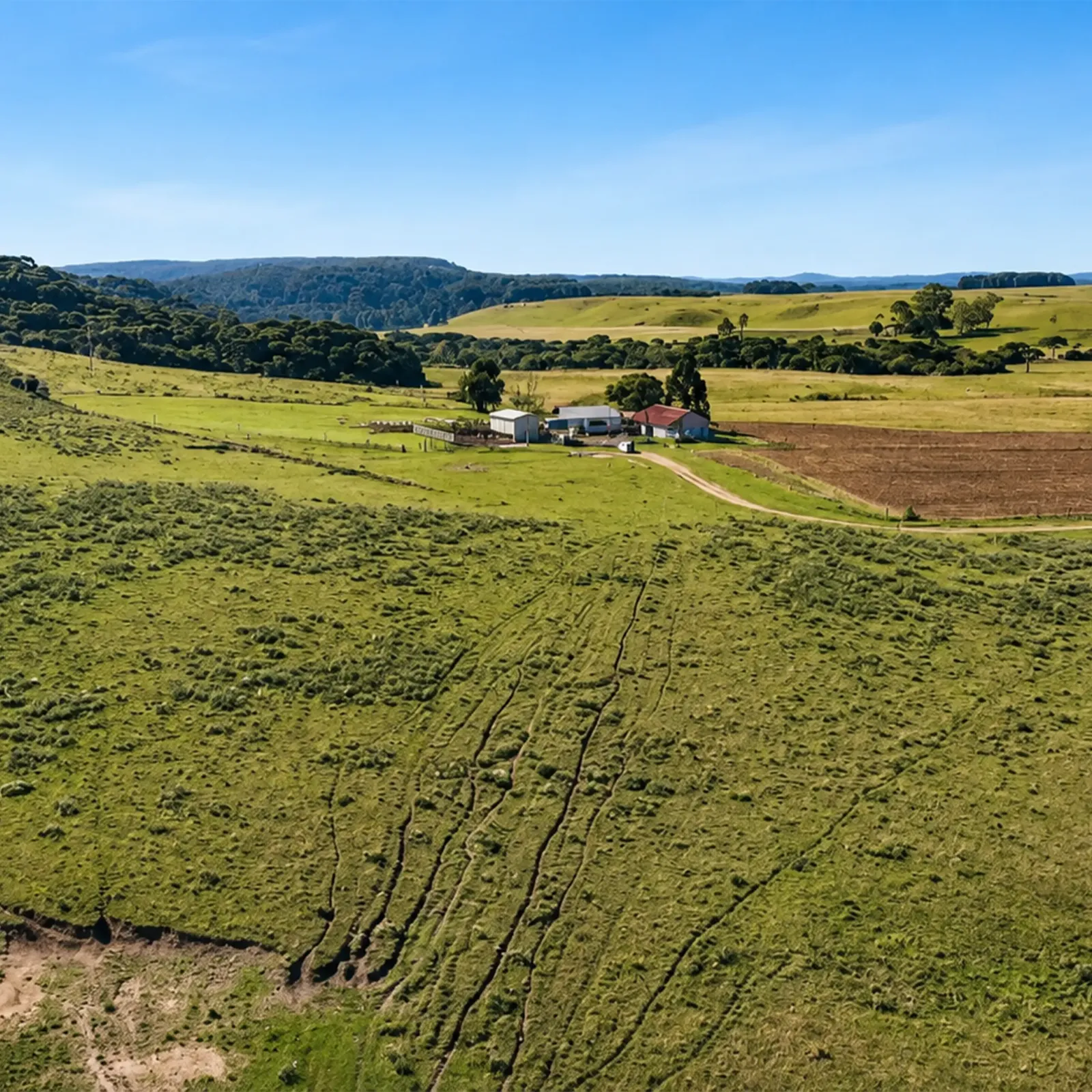 Espaço para plantação