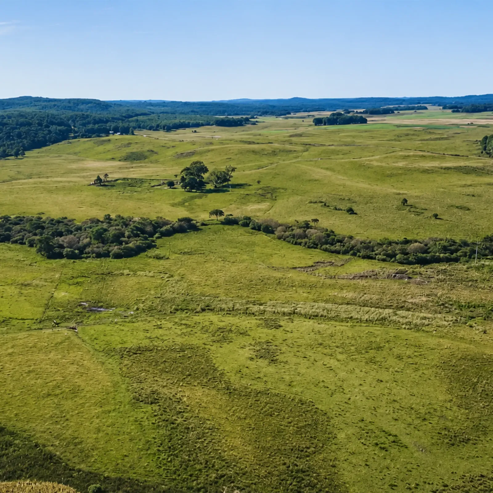 Área de Mata Nativa