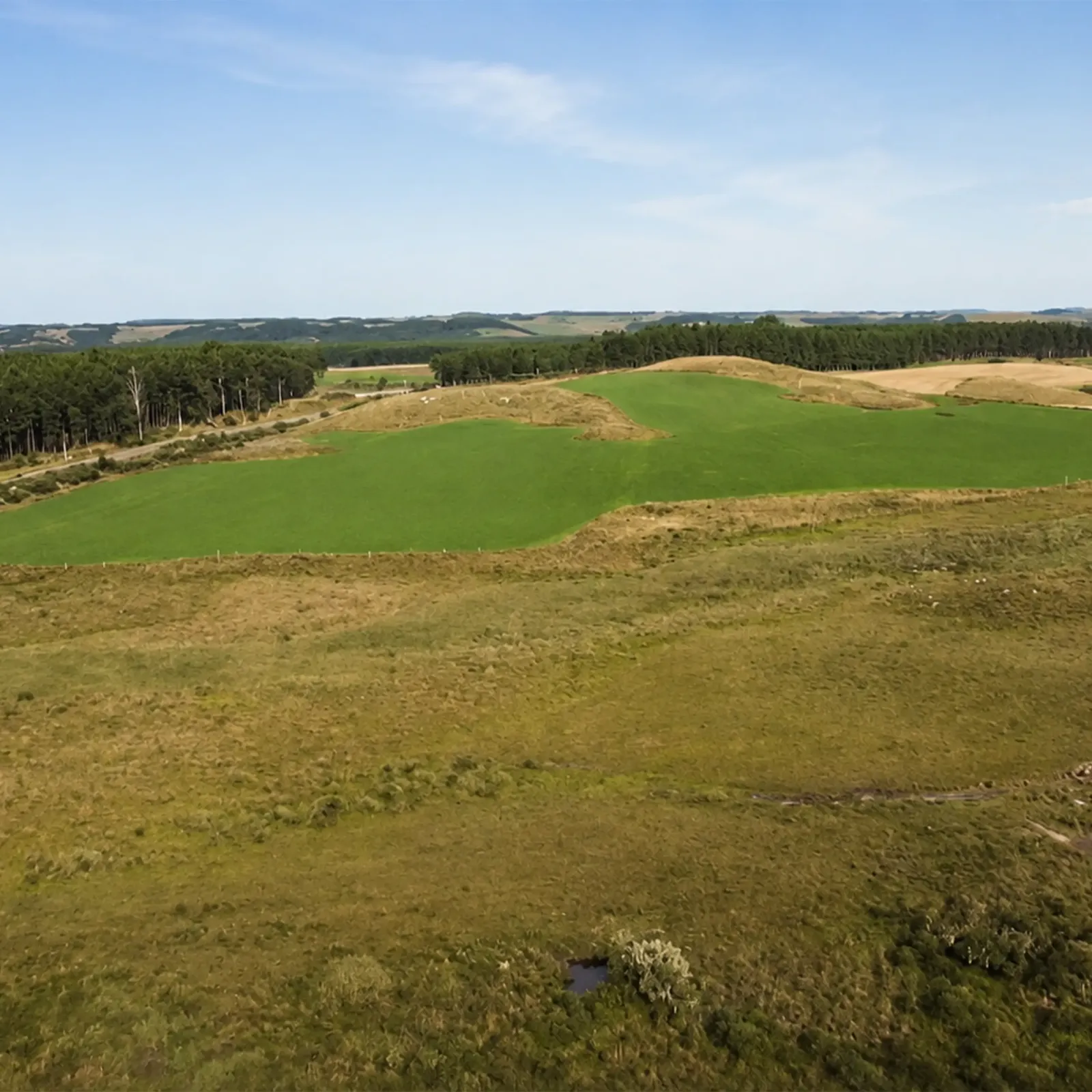 Área de campo
