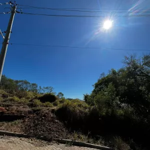 terreno