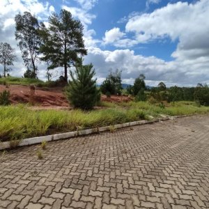 Terreno em Taquara / Tucanos